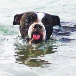 Meet your Posher, Marcela